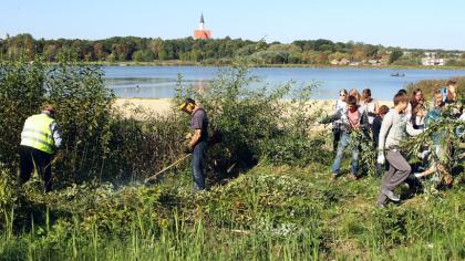 Tvarkytasi prie Talkšos ežero