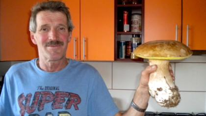 Asa­čio­vo gry­bai 