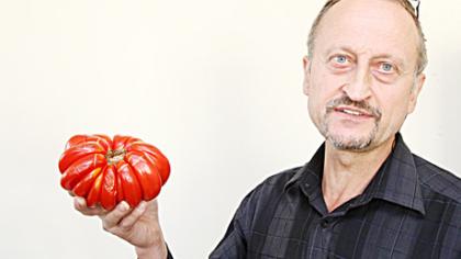 Sunkiasvoris pomidoras