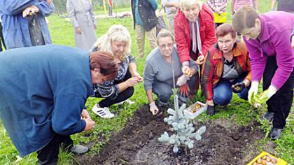 Bendruomenėje – Tulpių sodinimo šventė