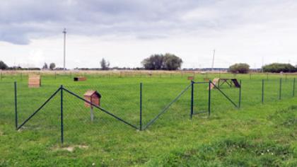 Joniškiečiai jau turi šunų vedžiojimo aikštelę