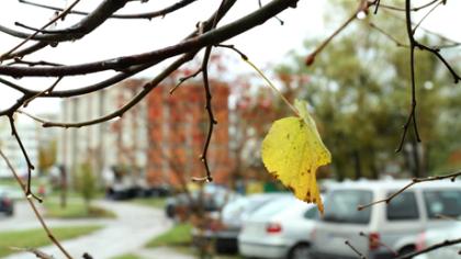 Orai: šią savaitę ruduo parodys kitą veido pusę