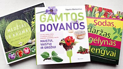 Sveikiname konkurso „Grybų grybai“ nugalėtojus!