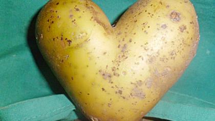 Ru­dens gė­ry­bės