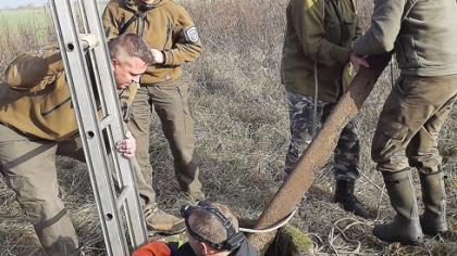 Išgelbėjo į šulinį įkritusią lapę