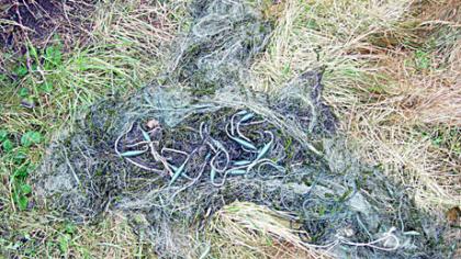 Žvejų laimikis – brakonierių tinklai