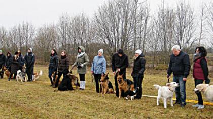 Šunų bėgimo varžybose – greičiau už U. Boltą