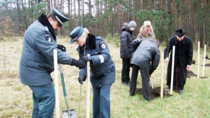 Žuvusiųjų keliuose alėjoje – dar septyni ąžuoliukai