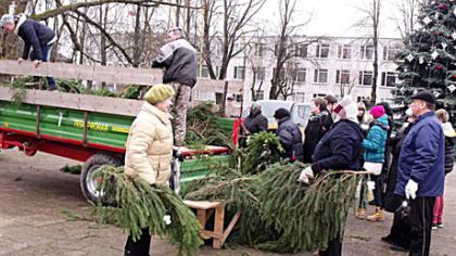 Šventinės dovanos – eglių šakos, kankorėžiai, angeliukai