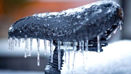 Barsuko šešėlis orų nenuspės