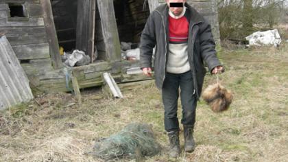 Brakonierių medžioklė su varovais
