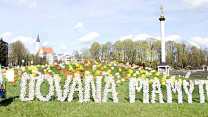 Gėlėmis nuklota pieva – mamoms