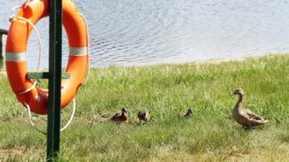 Paplūdimiuose trūksta tik poilsiautojų