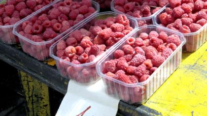 Uo­gų der­lius – Lietuvoje, atostogos – Paryžiuje