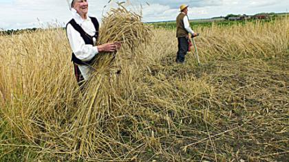 Ja­vap­jū­tė – kaip prieš 100 me­tų