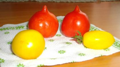 Pomidorai
