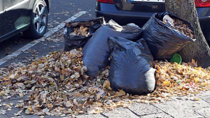 Kur dėti rudeninius lapus?