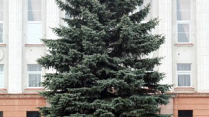 Šiauliuose pradeda dvelkti Kalėdomis